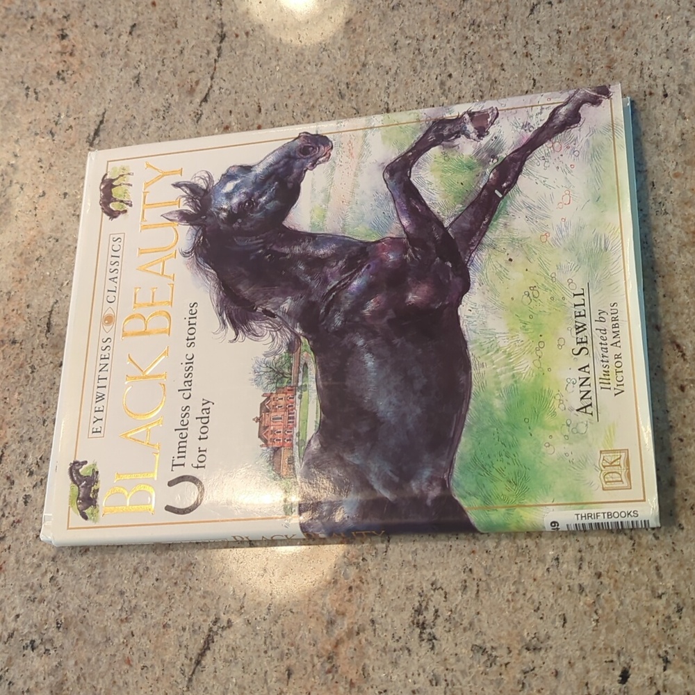 Black Beauty Adapted Children's Book